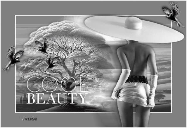 cool beauty-annemar…